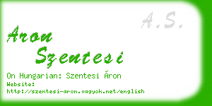 aron szentesi business card